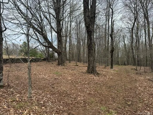 Lot 4 Shaver Hill Road, Meredith, NY, ,Land,For Rent,Shaver Hill Road,0,1009477 Lot 4 Shaver Hill Road, Meredith, NY, ,Land,For Rent,Shaver Hill Road,0,1009477