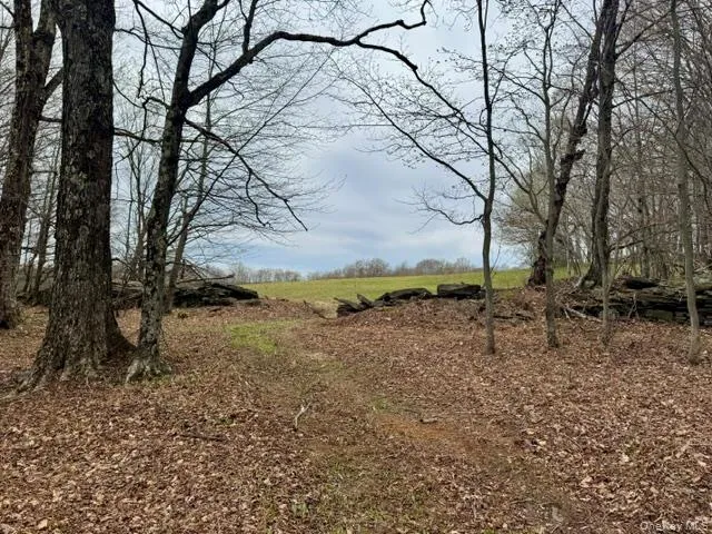 Lot 4 Shaver Hill Road, Meredith, NY, ,Land,For Rent,Shaver Hill Road,0,1009477 Lot 4 Shaver Hill Road, Meredith, NY, ,Land,For Rent,Shaver Hill Road,0,1009477