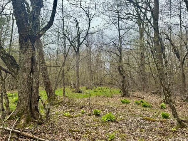 Lot 4 Shaver Hill Road, Meredith, NY, ,Land,For Rent,Shaver Hill Road,0,1009477 Lot 4 Shaver Hill Road, Meredith, NY, ,Land,For Rent,Shaver Hill Road,0,1009477