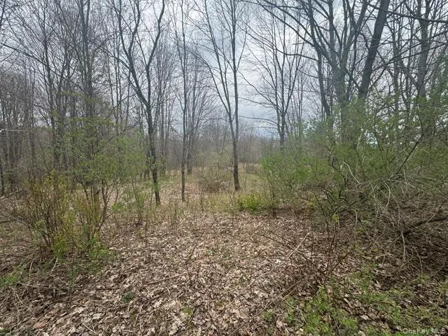 Lot 4 Shaver Hill Road, Meredith, NY, ,Land,For Rent,Shaver Hill Road,0,1009477 Lot 4 Shaver Hill Road, Meredith, NY, ,Land,For Rent,Shaver Hill Road,0,1009477