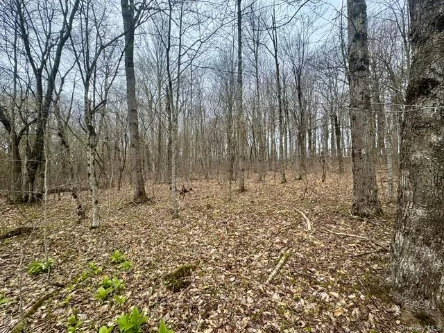 Lot 4 Shaver Hill Road, Meredith, NY, ,Land,For Rent,Shaver Hill Road,0,1009477 Lot 4 Shaver Hill Road, Meredith, NY, ,Land,For Rent,Shaver Hill Road,0,1009477