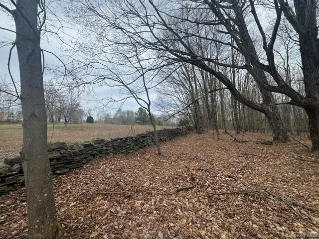 Lot 4 Shaver Hill Road, Meredith, NY, ,Land,For Rent,Shaver Hill Road,0,1009477 Lot 4 Shaver Hill Road, Meredith, NY, ,Land,For Rent,Shaver Hill Road,0,1009477