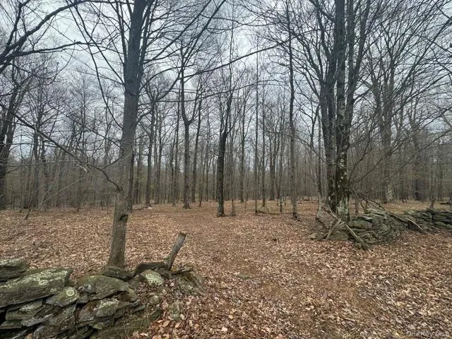 Lot 4 Shaver Hill Road, Meredith, NY, ,Land,For Rent,Shaver Hill Road,0,1009477 Lot 4 Shaver Hill Road, Meredith, NY, ,Land,For Rent,Shaver Hill Road,0,1009477