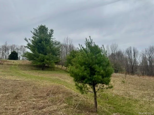 Lot 4 Shaver Hill Road, Meredith, NY, ,Land,For Rent,Shaver Hill Road,0,1009477 Lot 4 Shaver Hill Road, Meredith, NY, ,Land,For Rent,Shaver Hill Road,0,1009477