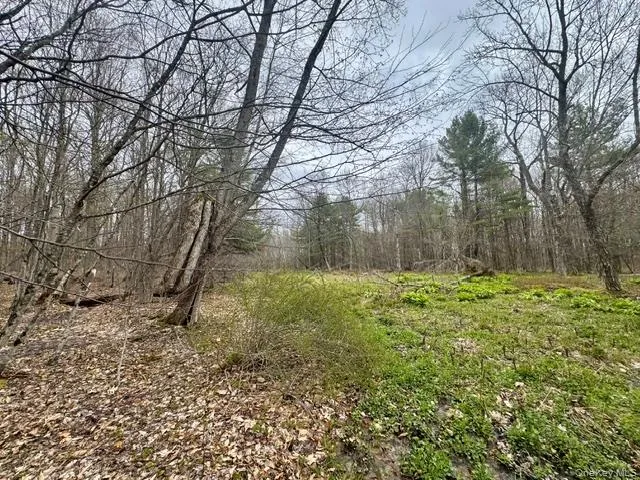 Lot 4 Shaver Hill Road, Meredith, NY, ,Land,For Rent,Shaver Hill Road,0,1009477 Lot 4 Shaver Hill Road, Meredith, NY, ,Land,For Rent,Shaver Hill Road,0,1009477