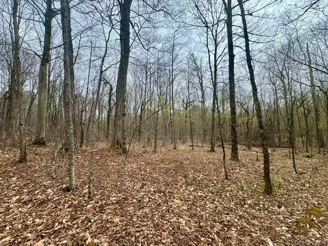 Lot 4 Shaver Hill Road, Meredith, NY, ,Land,For Rent,Shaver Hill Road,0,1009477 Lot 4 Shaver Hill Road, Meredith, NY, ,Land,For Rent,Shaver Hill Road,0,1009477