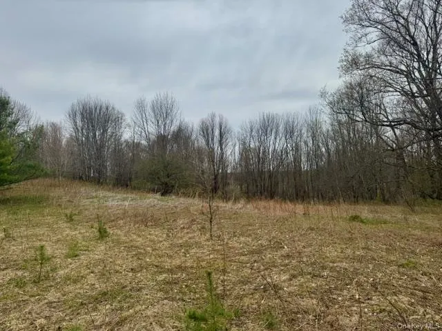 Lot 4 Shaver Hill Road, Meredith, NY, ,Land,For Rent,Shaver Hill Road,0,1009477 Lot 4 Shaver Hill Road, Meredith, NY, ,Land,For Rent,Shaver Hill Road,0,1009477