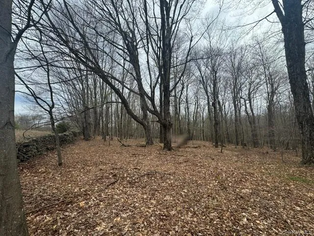 Lot 4 Shaver Hill Road, Meredith, NY, ,Land,For Rent,Shaver Hill Road,0,1009477 Lot 4 Shaver Hill Road, Meredith, NY, ,Land,For Rent,Shaver Hill Road,0,1009477