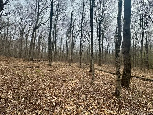 Lot 4 Shaver Hill Road, Meredith, NY, ,Land,For Rent,Shaver Hill Road,0,1009477 Lot 4 Shaver Hill Road, Meredith, NY, ,Land,For Rent,Shaver Hill Road,0,1009477