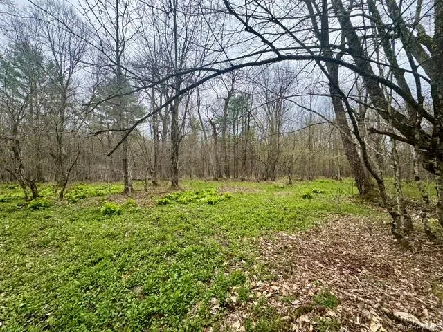 Lot 4 Shaver Hill Road, Meredith, NY, ,Land,For Rent,Shaver Hill Road,0,1009477 Lot 4 Shaver Hill Road, Meredith, NY, ,Land,For Rent,Shaver Hill Road,0,1009477