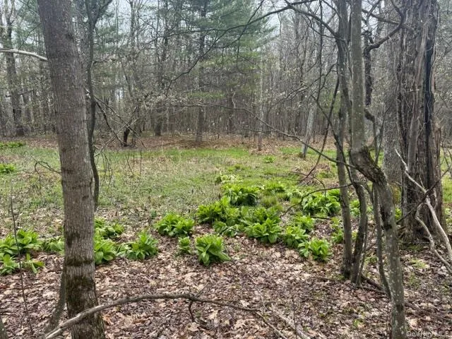 Lot 4 Shaver Hill Road, Meredith, NY, ,Land,For Rent,Shaver Hill Road,0,1009477 Lot 4 Shaver Hill Road, Meredith, NY, ,Land,For Rent,Shaver Hill Road,0,1009477