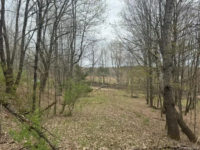 Lot 4 Shaver Hill Road, Meredith, NY, ,Land,For Rent,Shaver Hill Road,0,1009477 Lot 4 Shaver Hill Road, Meredith, NY, ,Land,For Rent,Shaver Hill Road,0,1009477