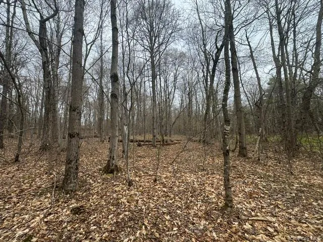Lot 4 Shaver Hill Road, Meredith, NY, ,Land,For Rent,Shaver Hill Road,0,1009477 Lot 4 Shaver Hill Road, Meredith, NY, ,Land,For Rent,Shaver Hill Road,0,1009477