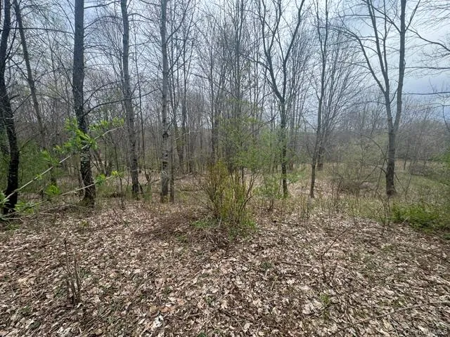 Lot 4 Shaver Hill Road, Meredith, NY, ,Land,For Rent,Shaver Hill Road,0,1009477 Lot 4 Shaver Hill Road, Meredith, NY, ,Land,For Rent,Shaver Hill Road,0,1009477