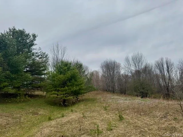 Lot 4 Shaver Hill Road, Meredith, NY, ,Land,For Rent,Shaver Hill Road,0,1009477 Lot 4 Shaver Hill Road, Meredith, NY, ,Land,For Rent,Shaver Hill Road,0,1009477