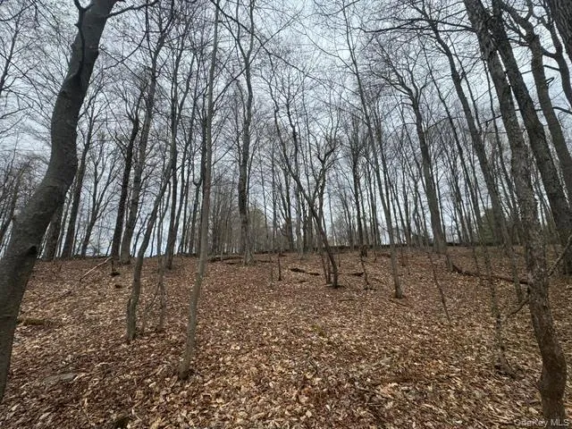 Lot 4 Shaver Hill Road, Meredith, NY, ,Land,For Rent,Shaver Hill Road,0,1009477 Lot 4 Shaver Hill Road, Meredith, NY, ,Land,For Rent,Shaver Hill Road,0,1009477