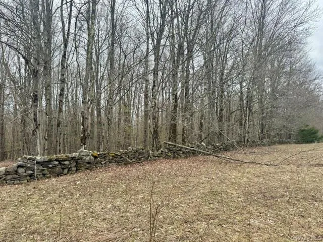 Lot 4 Shaver Hill Road, Meredith, NY, ,Land,For Rent,Shaver Hill Road,0,1009477 Lot 4 Shaver Hill Road, Meredith, NY, ,Land,For Rent,Shaver Hill Road,0,1009477
