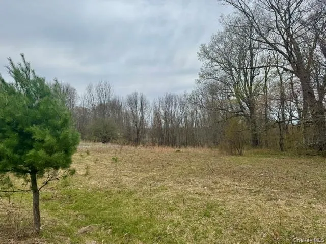 Lot 4 Shaver Hill Road, Meredith, NY, ,Land,For Rent,Shaver Hill Road,0,1009477 Lot 4 Shaver Hill Road, Meredith, NY, ,Land,For Rent,Shaver Hill Road,0,1009477