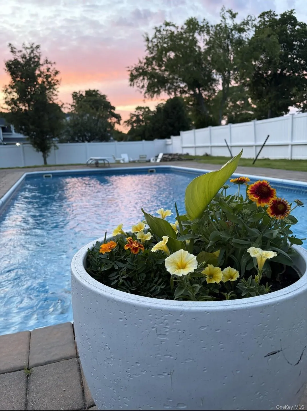 Saltwater In Ground Pool. Saltwater In Ground Pool.