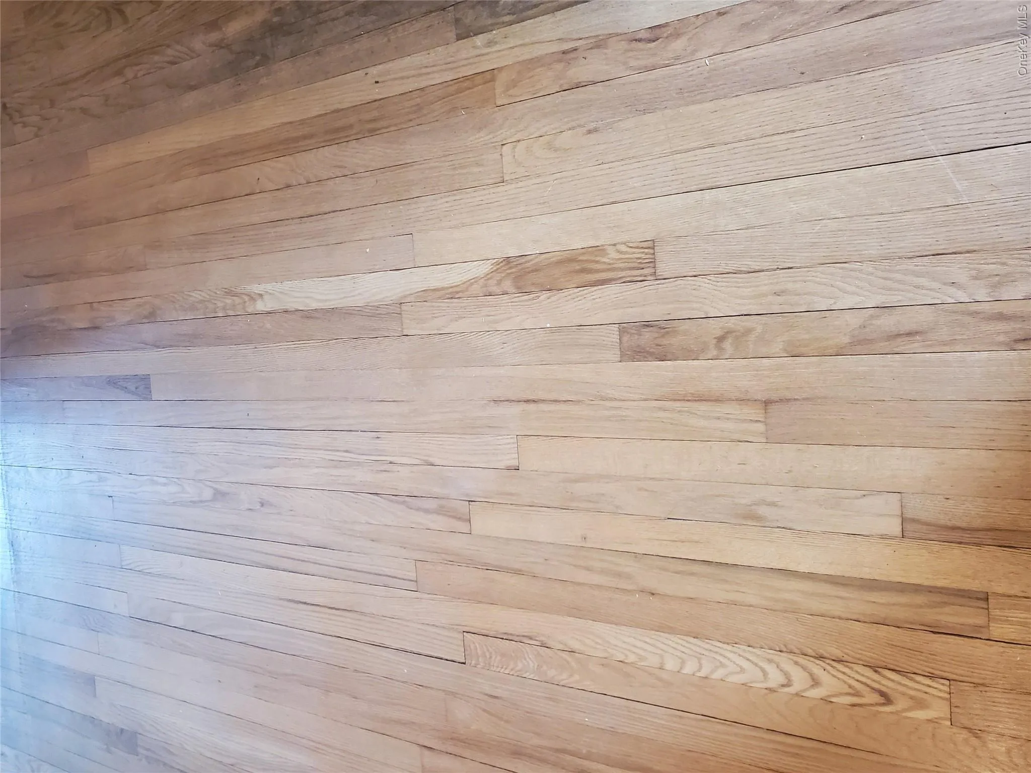 55-05 84th Street, New York, NY, 2 Bedrooms Bedrooms, 5 Rooms Rooms,1 BathroomBathrooms,Residential,For Rent,84th,0,1009496 55-05 84th Street, New York, NY, 2 Bedrooms Bedrooms, 5 Rooms Rooms,1 BathroomBathrooms,Residential,For Rent,84th,0,1009496