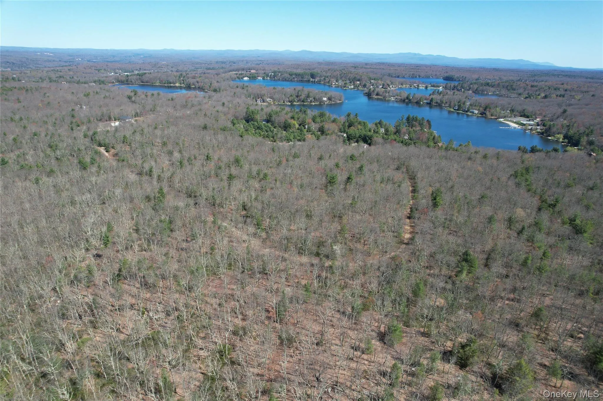 Old Sackett Road, Thompson, NY, ,Land,For Rent,Old Sackett,0,1009507 Old Sackett Road, Thompson, NY, ,Land,For Rent,Old Sackett,0,1009507