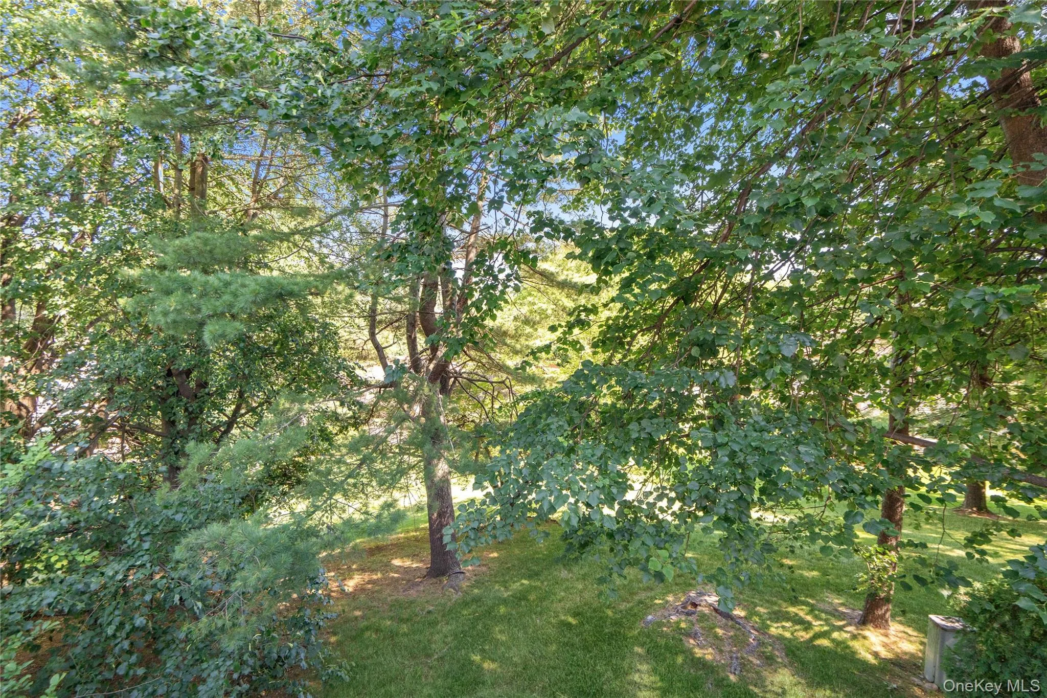 265 Sparrow Drive, North Hempstead, NY, 2 Bedrooms Bedrooms, 8 Rooms Rooms,2 BathroomsBathrooms,Residential,For Rent,Sparrow,0,1009542 265 Sparrow Drive, North Hempstead, NY, 2 Bedrooms Bedrooms, 8 Rooms Rooms,2 BathroomsBathrooms,Residential,For Rent,Sparrow,0,1009542