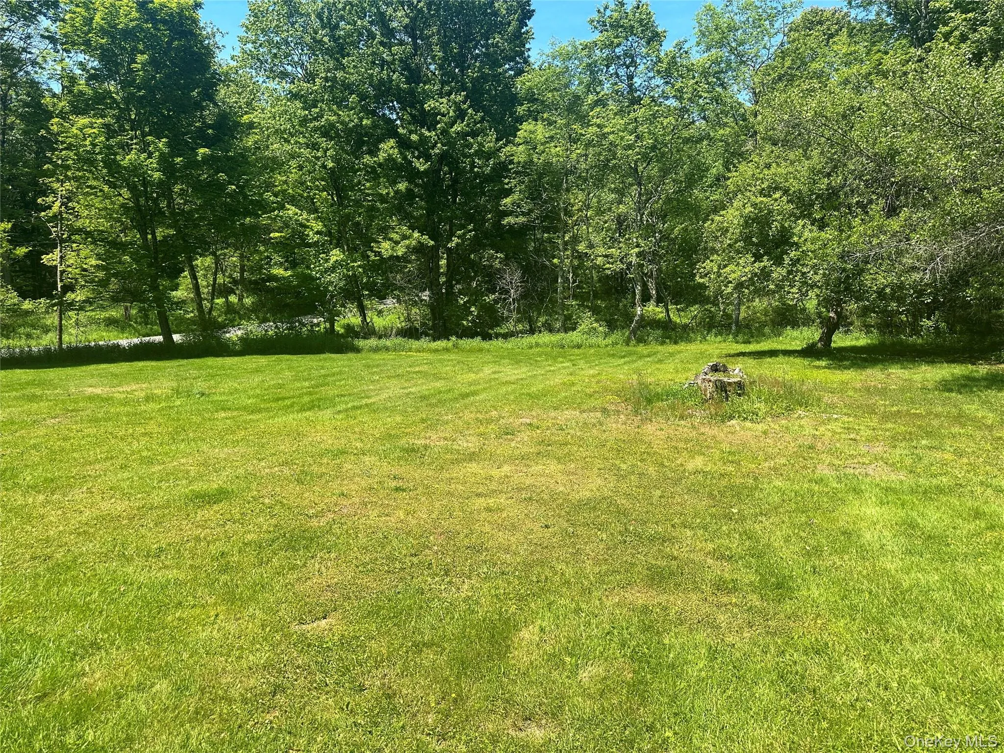 375 Harris Road, Thompson, NY, 3 Bedrooms Bedrooms, 9 Rooms Rooms,2 BathroomsBathrooms,Residential,For Rent,Harris,0,1009551 375 Harris Road, Thompson, NY, 3 Bedrooms Bedrooms, 9 Rooms Rooms,2 BathroomsBathrooms,Residential,For Rent,Harris,0,1009551