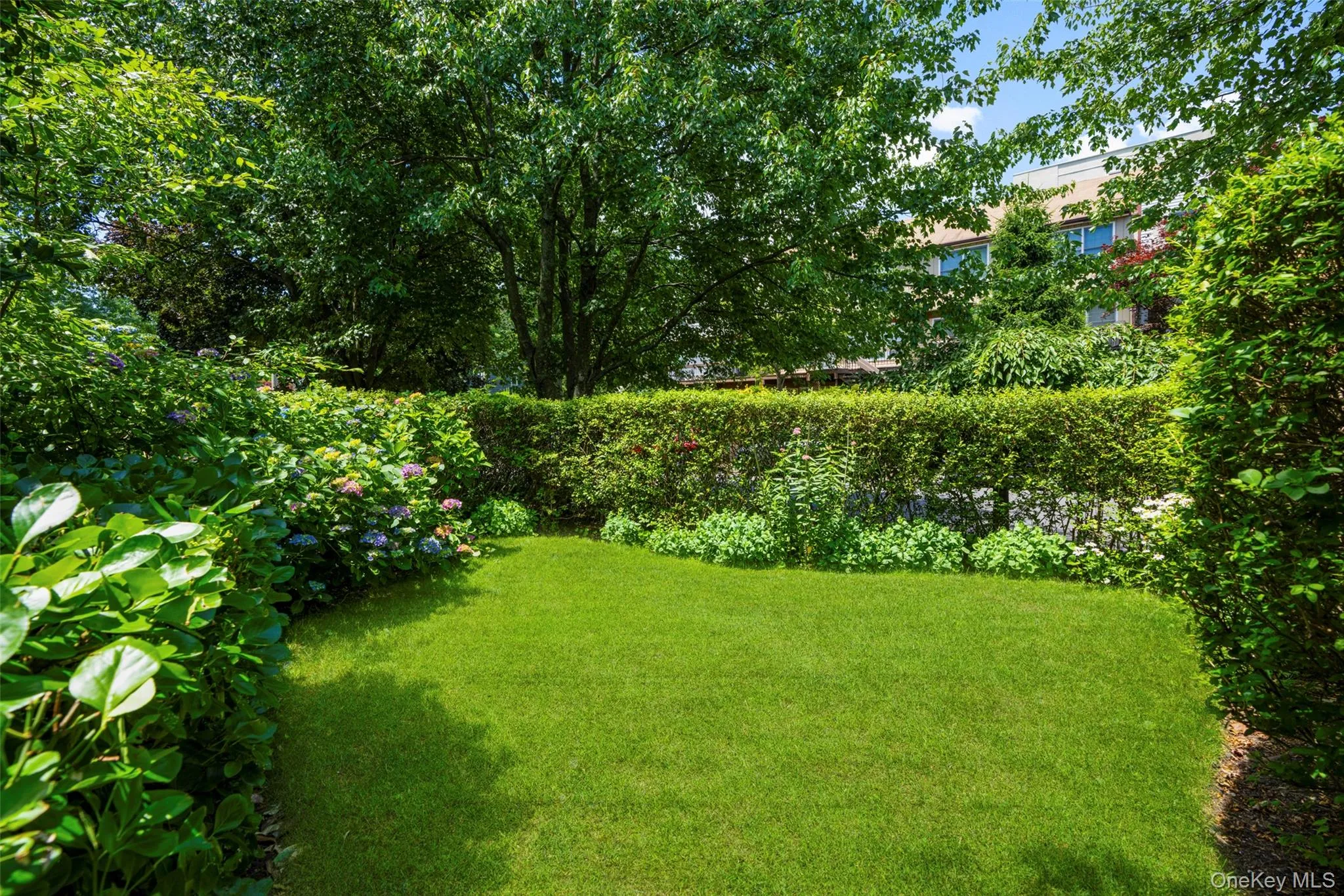 398 Cortlandt Avenue, Mamaroneck, NY, 2 Bedrooms Bedrooms, 5 Rooms Rooms,2 BathroomsBathrooms,Residential,For Rent,Cortlandt,0,1009552 398 Cortlandt Avenue, Mamaroneck, NY, 2 Bedrooms Bedrooms, 5 Rooms Rooms,2 BathroomsBathrooms,Residential,For Rent,Cortlandt,0,1009552