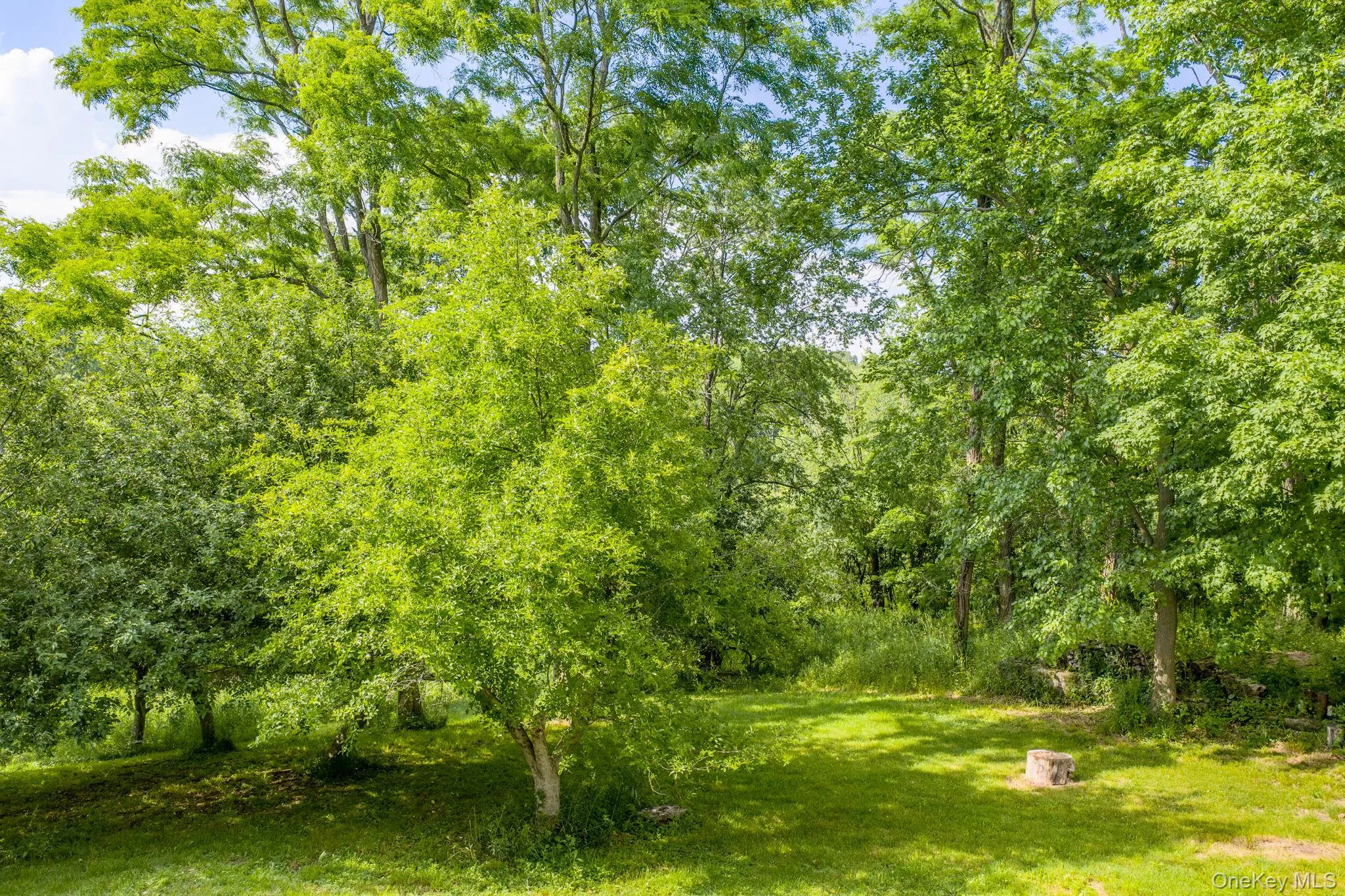 633 Ridgebury Road, Wawayanda, NY, 4 Bedrooms Bedrooms, 12 Rooms Rooms,3 BathroomsBathrooms,Residential,For Rent,Ridgebury,0,1009564 633 Ridgebury Road, Wawayanda, NY, 4 Bedrooms Bedrooms, 12 Rooms Rooms,3 BathroomsBathrooms,Residential,For Rent,Ridgebury,0,1009564