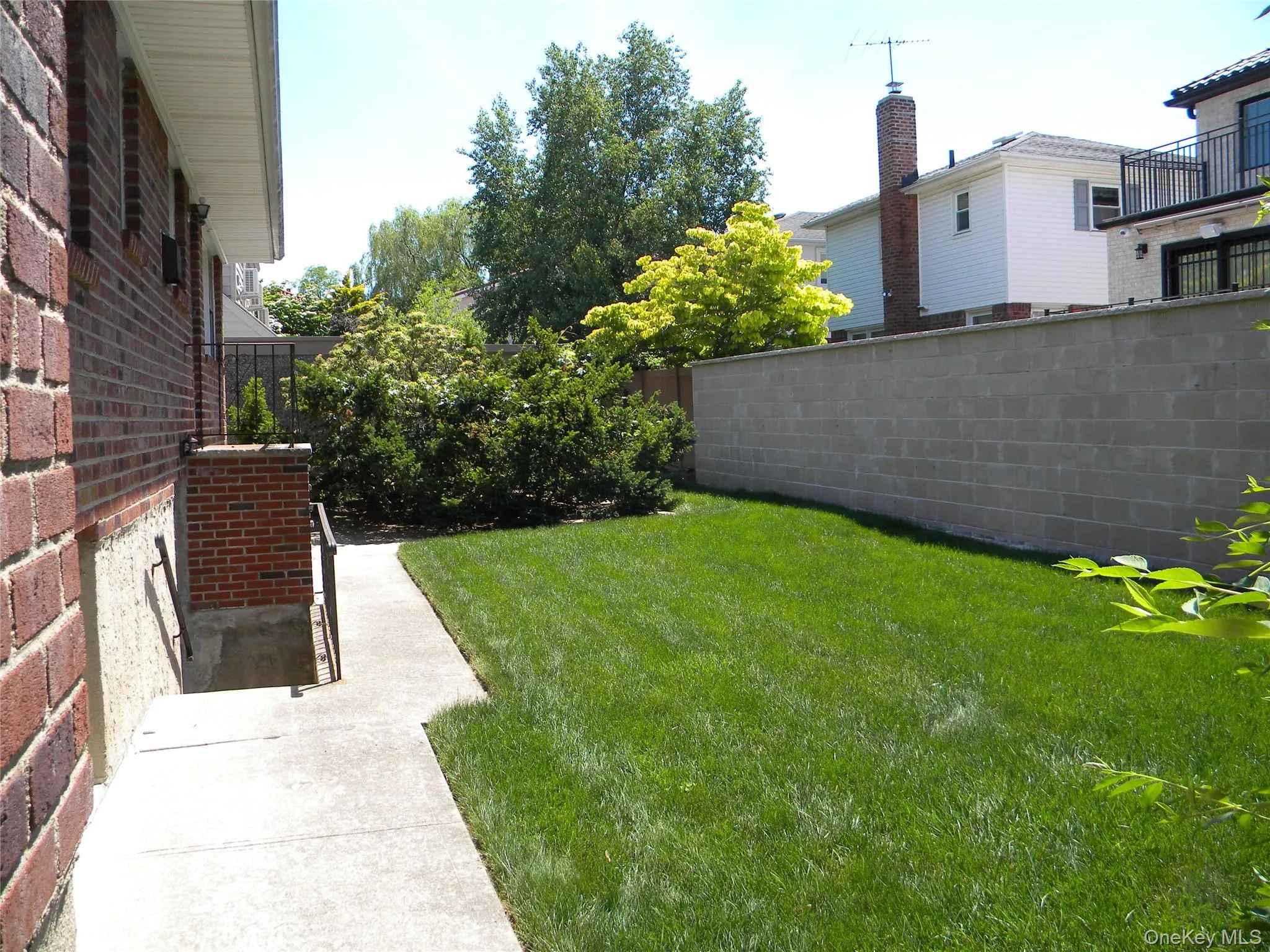 Sun filled, landscaped back yard Sun filled, landscaped back yard
