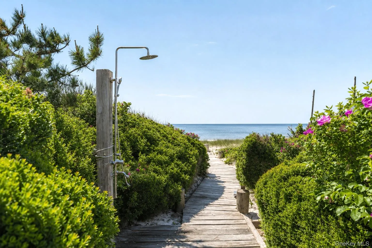 6 Gin Lane, Southampton, NY, 5 Bedrooms Bedrooms, 15 Rooms Rooms,6 BathroomsBathrooms,Residential Lease,For Rent,Gin,0,1009615 6 Gin Lane, Southampton, NY, 5 Bedrooms Bedrooms, 15 Rooms Rooms,6 BathroomsBathrooms,Residential Lease,For Rent,Gin,0,1009615