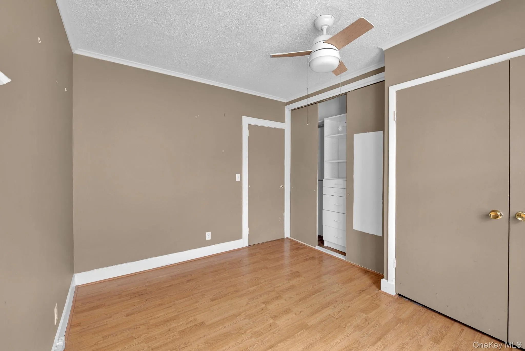 255 Rolling Street, Hempstead, NY, 3 Bedrooms Bedrooms, 6 Rooms Rooms,2 BathroomsBathrooms,Residential,For Rent,Rolling,0,1009618 255 Rolling Street, Hempstead, NY, 3 Bedrooms Bedrooms, 6 Rooms Rooms,2 BathroomsBathrooms,Residential,For Rent,Rolling,0,1009618