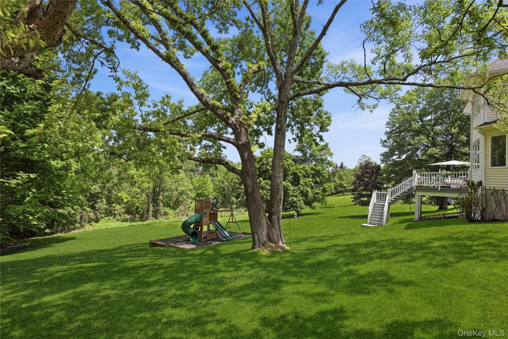 Backyard Backyard