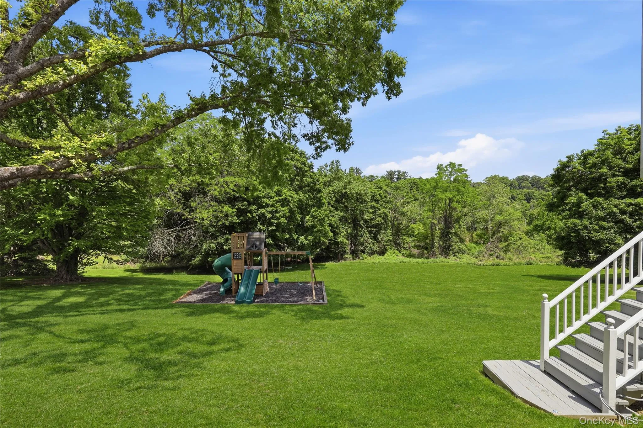 Backyard Backyard