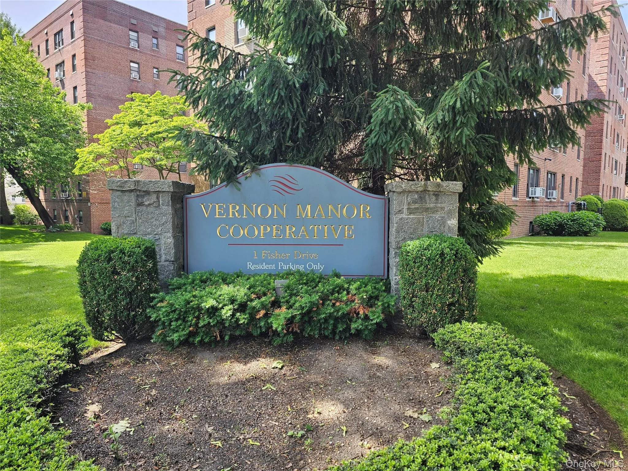 1 Fisher Drive, Mount Vernon, NY, 1 Bedroom Bedrooms, 3 Rooms Rooms,1 BathroomBathrooms,Residential,For Rent,Fisher,0,1009636 1 Fisher Drive, Mount Vernon, NY, 1 Bedroom Bedrooms, 3 Rooms Rooms,1 BathroomBathrooms,Residential,For Rent,Fisher,0,1009636