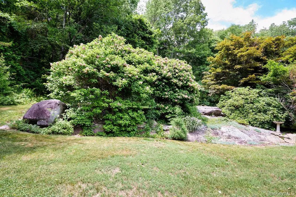 Back yard area Back yard area