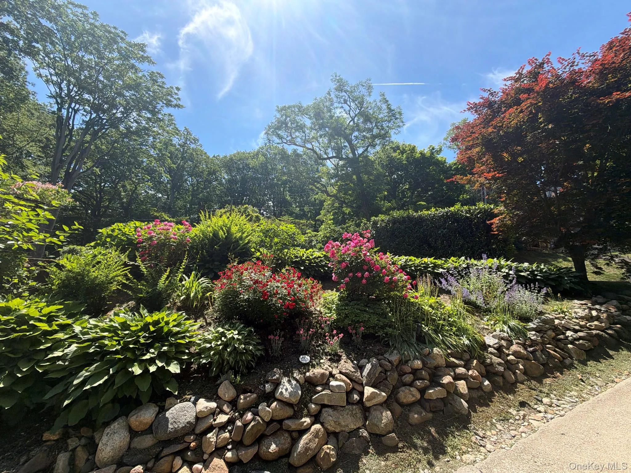 2 Prospect Avenue, Oyster Bay, NY, 2 Bedrooms Bedrooms, 5 Rooms Rooms,1 BathroomBathrooms,Residential Lease,For Rent,Prospect,0,1009650 2 Prospect Avenue, Oyster Bay, NY, 2 Bedrooms Bedrooms, 5 Rooms Rooms,1 BathroomBathrooms,Residential Lease,For Rent,Prospect,0,1009650