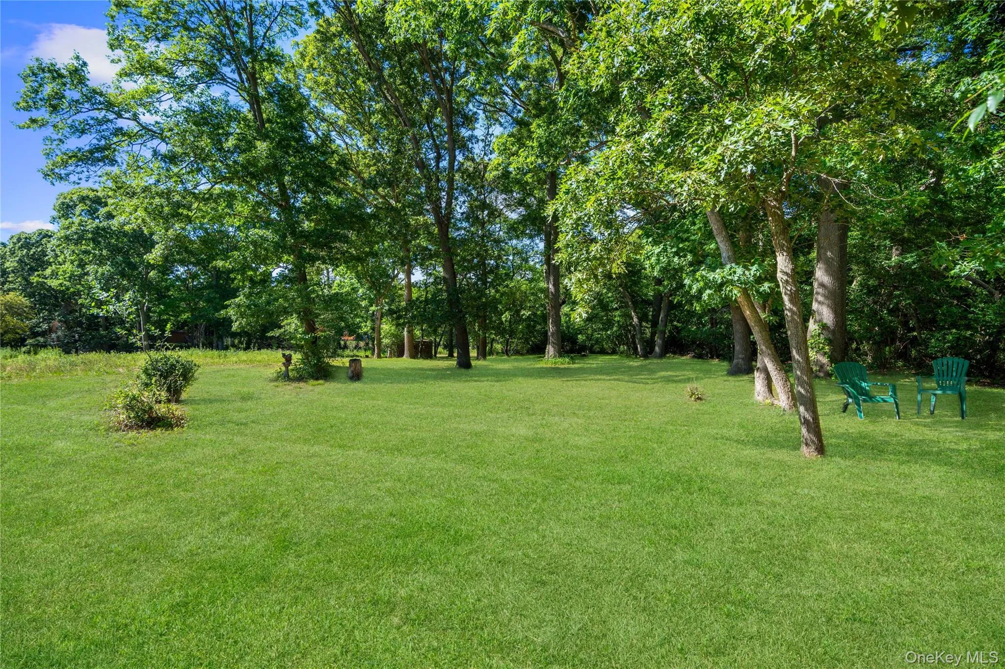13 Simon Avenue, Brookhaven, NY, 3 Bedrooms Bedrooms, 8 Rooms Rooms,1 BathroomBathrooms,Residential,For Rent,Simon,0,1009708 13 Simon Avenue, Brookhaven, NY, 3 Bedrooms Bedrooms, 8 Rooms Rooms,1 BathroomBathrooms,Residential,For Rent,Simon,0,1009708