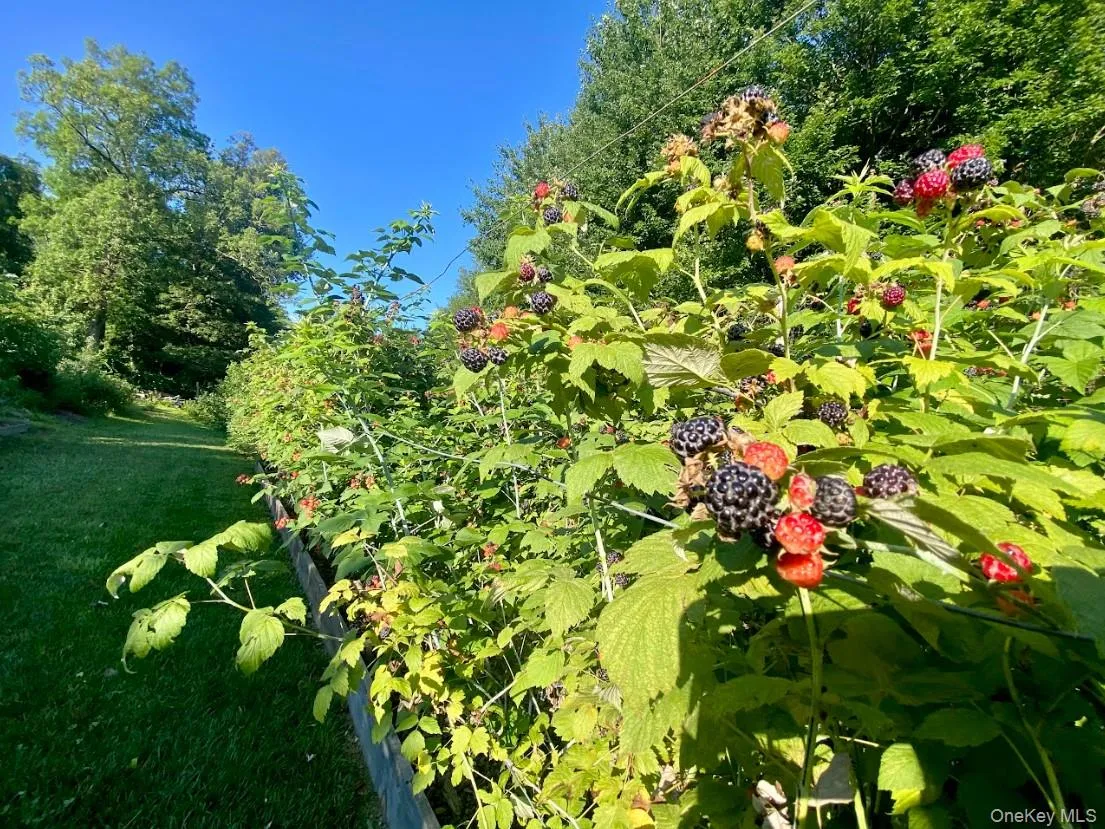 434 Joys Lane, Hurley, NY, 4 Bedrooms Bedrooms, 8 Rooms Rooms,2 BathroomsBathrooms,Residential,For Rent,Joys,0,1009729 434 Joys Lane, Hurley, NY, 4 Bedrooms Bedrooms, 8 Rooms Rooms,2 BathroomsBathrooms,Residential,For Rent,Joys,0,1009729