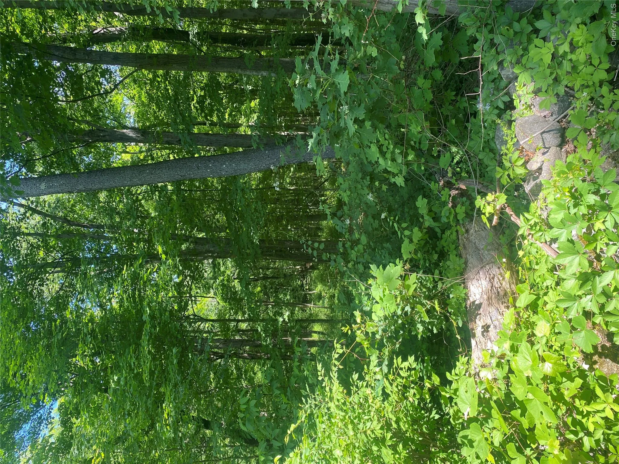 123 Meads Farm Road, East Fishkill, NY, ,Land,For Rent,Meads Farm,0,1009757 123 Meads Farm Road, East Fishkill, NY, ,Land,For Rent,Meads Farm,0,1009757