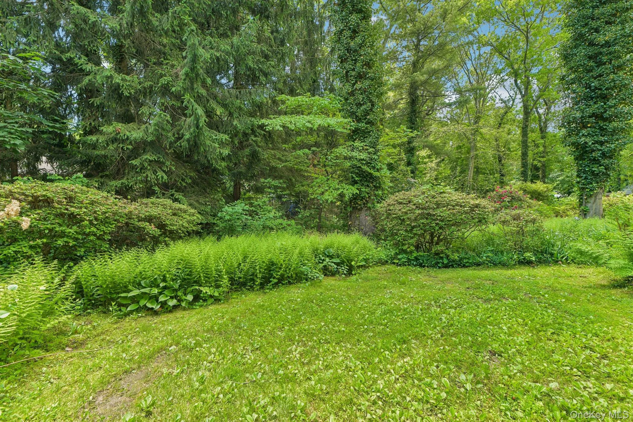 47 Mayfair Drive, Huntington, NY, 3 Bedrooms Bedrooms, 7 Rooms Rooms,2 BathroomsBathrooms,Residential,For Rent,Mayfair,0,KEY1009768 47 Mayfair Drive, Huntington, NY, 3 Bedrooms Bedrooms, 7 Rooms Rooms,2 BathroomsBathrooms,Residential,For Rent,Mayfair,0,KEY1009768