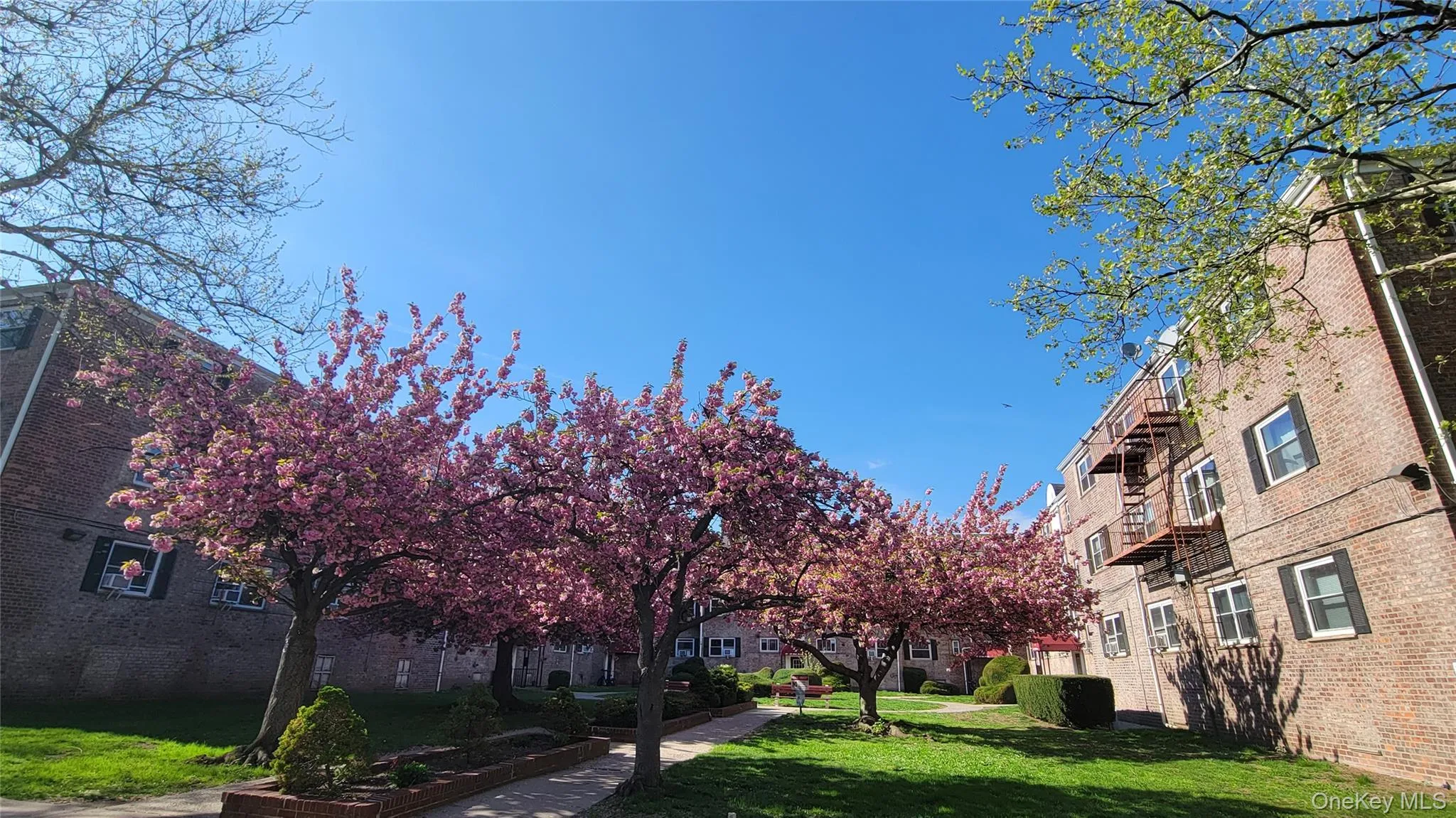 111-09 66 Road, New York, NY, 2 Bedrooms Bedrooms, 4 Rooms Rooms,1 BathroomBathrooms,Residential,For Rent,66,0,KEY1009802 111-09 66 Road, New York, NY, 2 Bedrooms Bedrooms, 4 Rooms Rooms,1 BathroomBathrooms,Residential,For Rent,66,0,KEY1009802