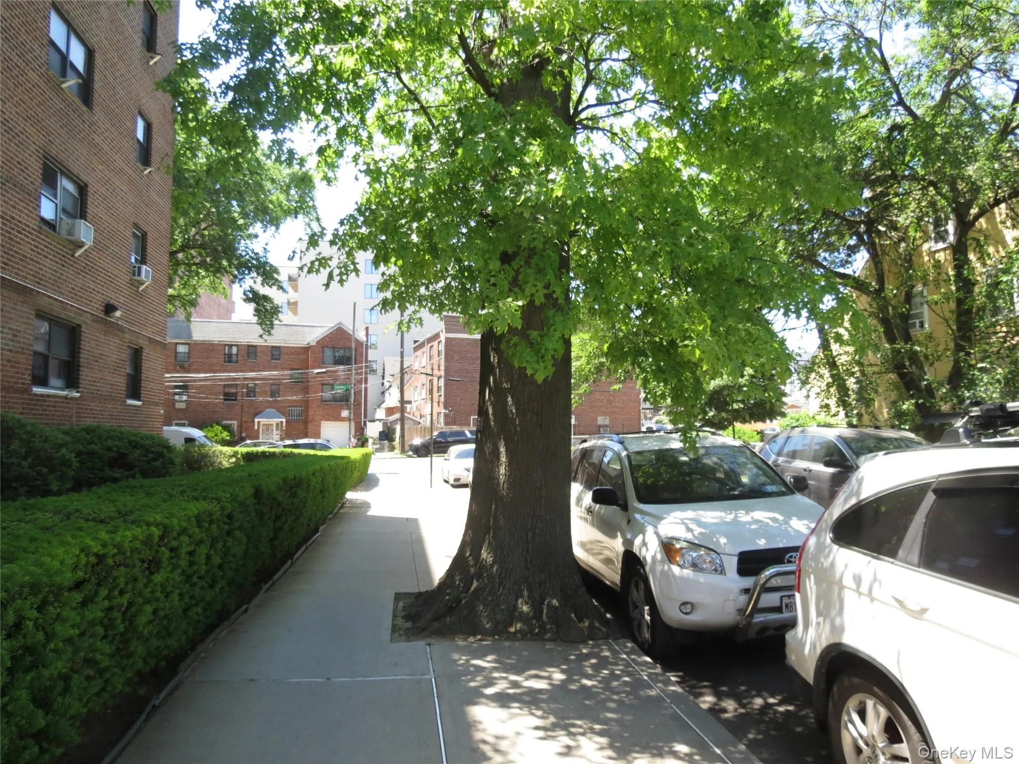 147-14 84th Road, New York, NY, 1 Bedroom Bedrooms, 3 Rooms Rooms,1 BathroomBathrooms,Residential,For Rent,84th,0,1009818 147-14 84th Road, New York, NY, 1 Bedroom Bedrooms, 3 Rooms Rooms,1 BathroomBathrooms,Residential,For Rent,84th,0,1009818