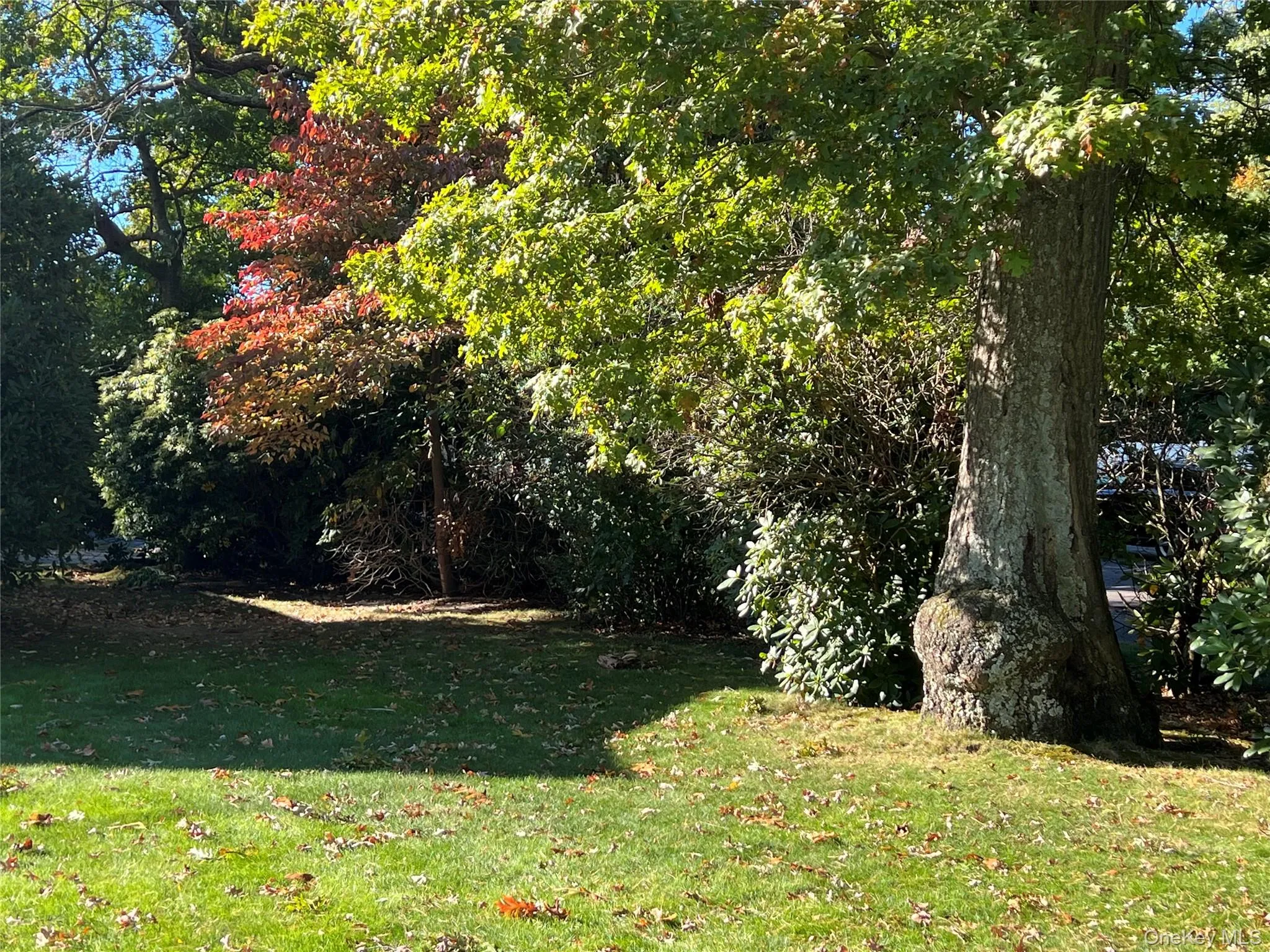 2566 Middle Country Road, Brookhaven, NY, 2 Bedrooms Bedrooms, 6 Rooms Rooms,1 BathroomBathrooms,Residential,For Rent,Middle Country,0,1009819 2566 Middle Country Road, Brookhaven, NY, 2 Bedrooms Bedrooms, 6 Rooms Rooms,1 BathroomBathrooms,Residential,For Rent,Middle Country,0,1009819