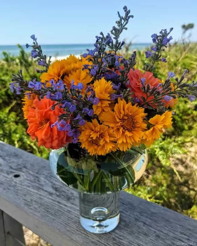 Flowers from the garden Flowers from the garden
