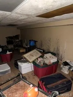 1117 Cedar Ridge Road, Oyster Bay, NY, 7 Bedrooms Bedrooms, 12 Rooms Rooms,4 BathroomsBathrooms,Residential,For Rent,Cedar Ridge,0,1009840 1117 Cedar Ridge Road, Oyster Bay, NY, 7 Bedrooms Bedrooms, 12 Rooms Rooms,4 BathroomsBathrooms,Residential,For Rent,Cedar Ridge,0,1009840