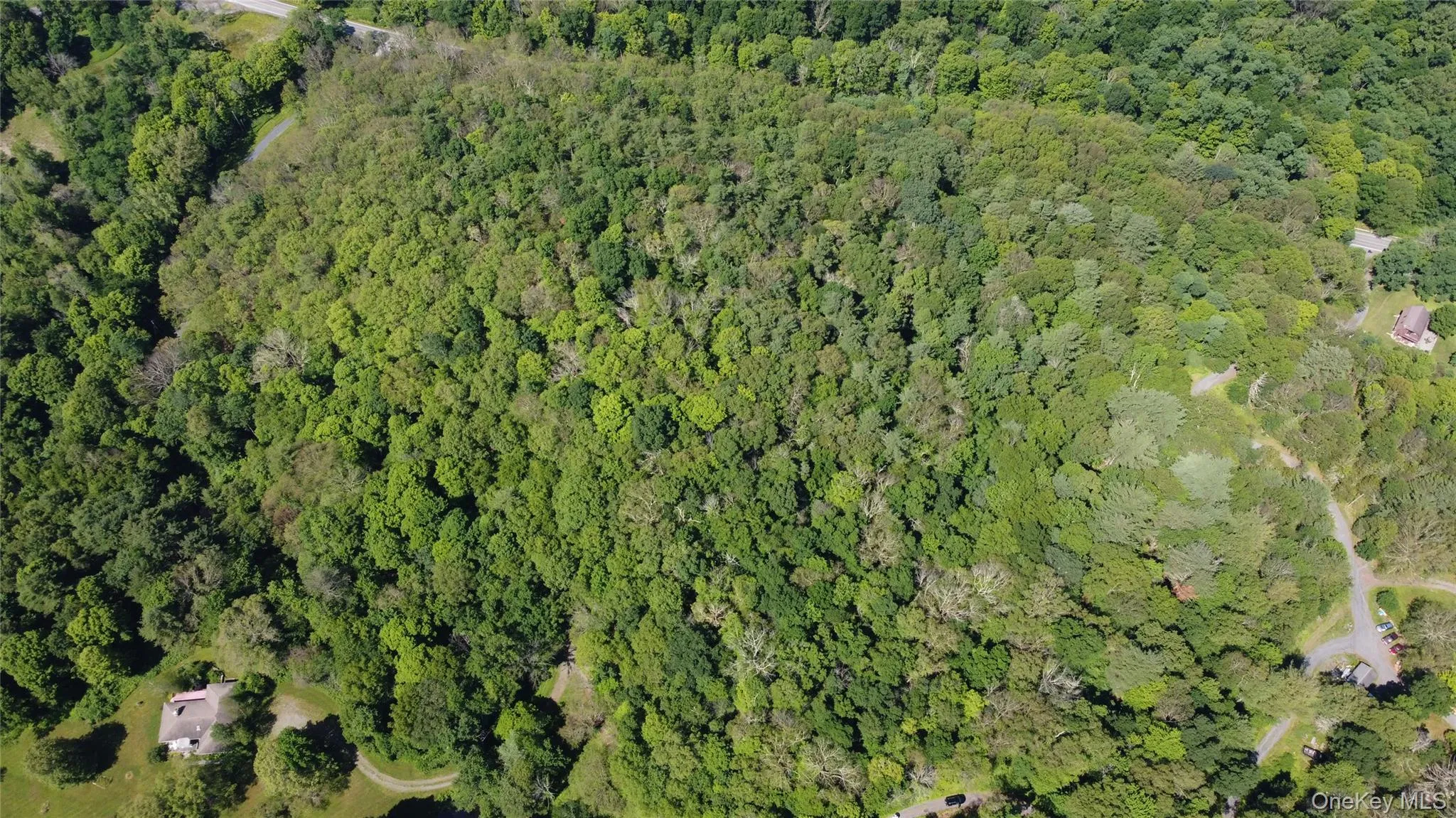 Mount Ross Road, Pine Plains, NY, ,Land,For Rent,Mount Ross,0,1009852 Mount Ross Road, Pine Plains, NY, ,Land,For Rent,Mount Ross,0,1009852