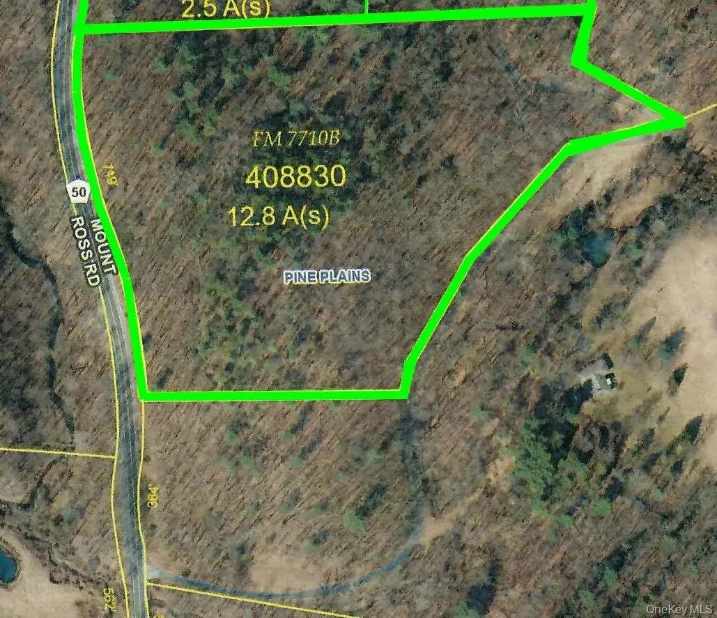 Mount Ross Road, Pine Plains, NY, ,Land,For Rent,Mount Ross,0,1009852 Mount Ross Road, Pine Plains, NY, ,Land,For Rent,Mount Ross,0,1009852