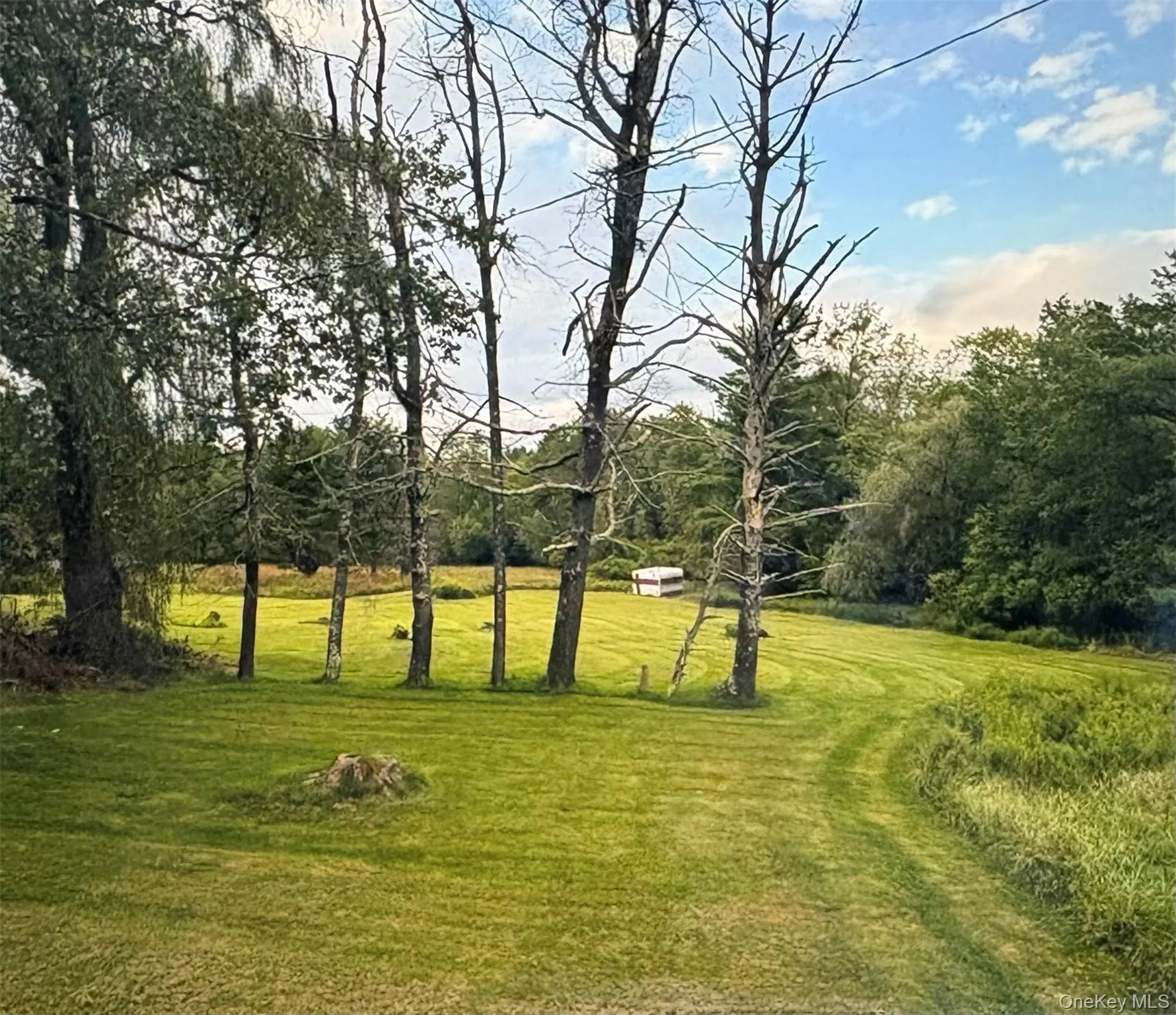 3038 State Route 17B, Cochecton, NY, 5 Bedrooms Bedrooms, 9 Rooms Rooms,2 BathroomsBathrooms,Residential,For Rent,State Route 17B,0,1009853 3038 State Route 17B, Cochecton, NY, 5 Bedrooms Bedrooms, 9 Rooms Rooms,2 BathroomsBathrooms,Residential,For Rent,State Route 17B,0,1009853