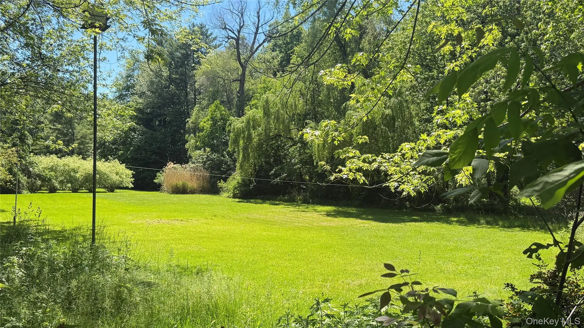 1588 Route 212, Saugerties, NY, 4 Bedrooms Bedrooms, 8 Rooms Rooms,2 BathroomsBathrooms,Residential,For Rent,Route 212,0,1009893 1588 Route 212, Saugerties, NY, 4 Bedrooms Bedrooms, 8 Rooms Rooms,2 BathroomsBathrooms,Residential,For Rent,Route 212,0,1009893